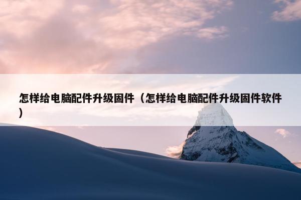 怎样给电脑配件升级固件（怎样给电脑配件升级固件软件）
