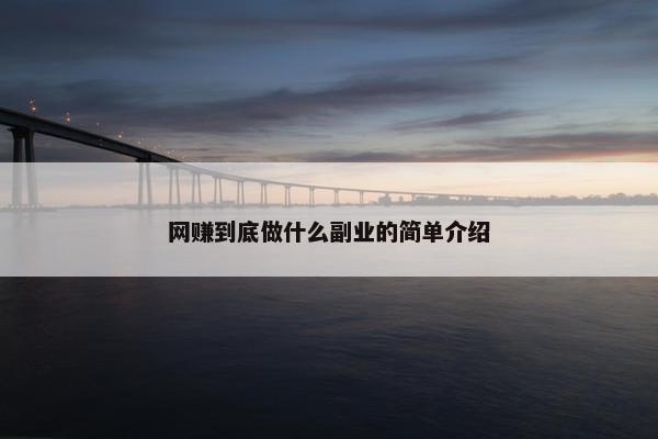 网赚到底做什么副业的简单介绍