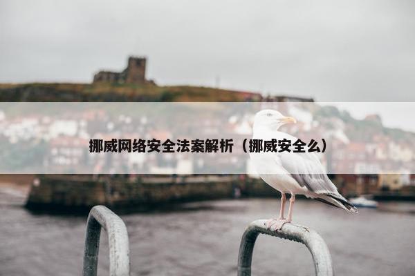 挪威网络安全法案解析（挪威安全么）