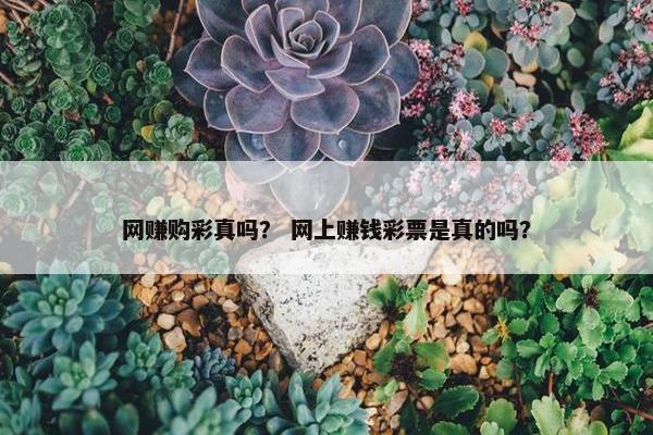 网赚购彩真吗？ 网上赚钱彩票是真的吗？