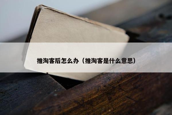 推淘客后怎么办（推淘客是什么意思）