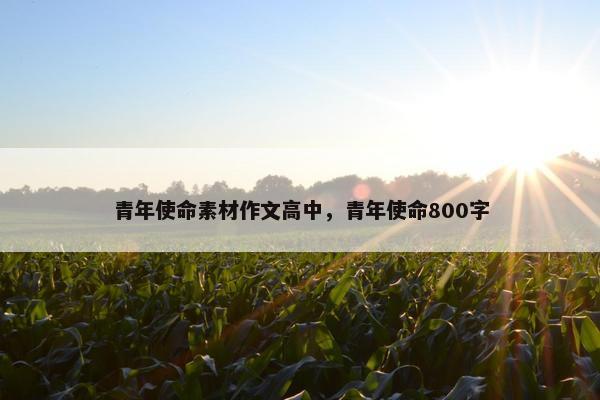 青年使命素材作文高中，青年使命800字
