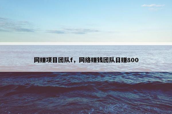 网赚项目团队f，网络赚钱团队日赚800