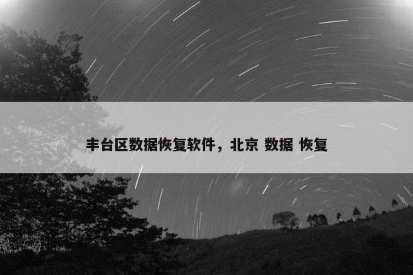丰台区数据恢复软件，北京 数据 恢复