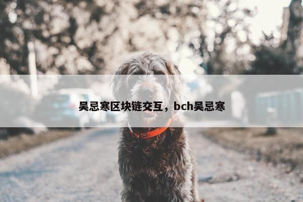 吴忌寒区块链交互，bch吴忌寒