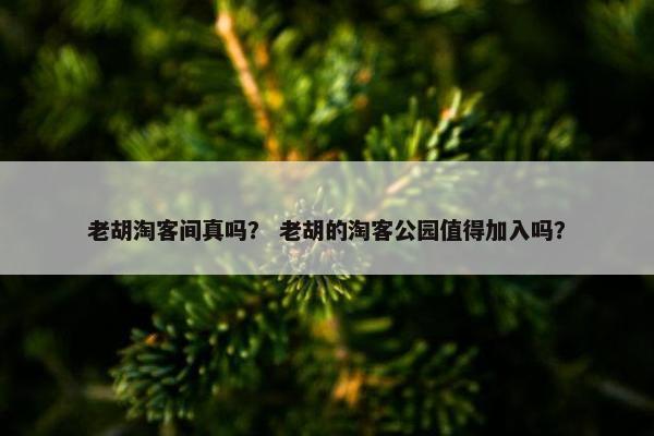 老胡淘客间真吗？ 老胡的淘客公园值得加入吗？