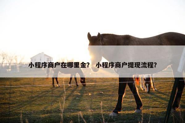 小程序商户在哪里金？ 小程序商户提现流程？