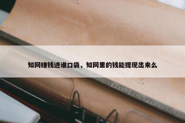 知网赚钱进谁口袋，知网里的钱能提现出来么