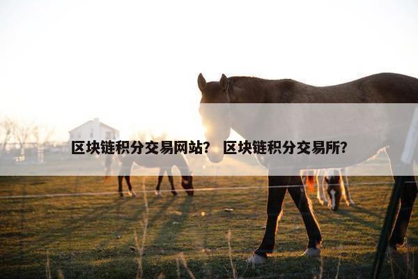 区块链积分交易网站？ 区块链积分交易所？