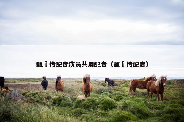 甄嬛传配音演员共用配音（甄嬛传配音）