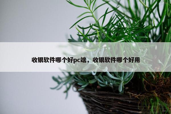 收银软件哪个好pc端，收银软件哪个好用