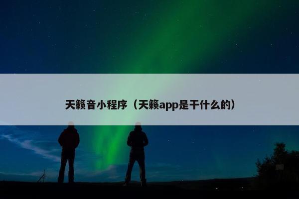 天籁音小程序（天籁app是干什么的）