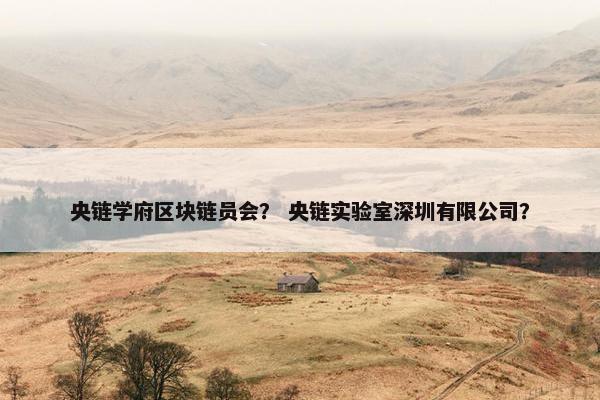 央链学府区块链员会？ 央链实验室深圳有限公司？