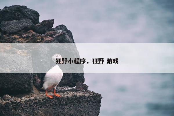 狂野小程序，狂野 游戏