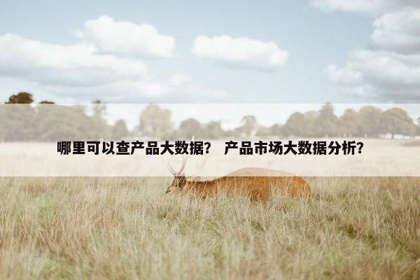 哪里可以查产品大数据？ 产品市场大数据分析？