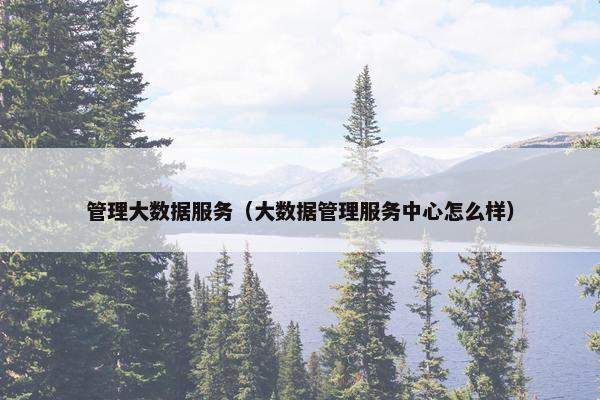 管理大数据服务（大数据管理服务中心怎么样）