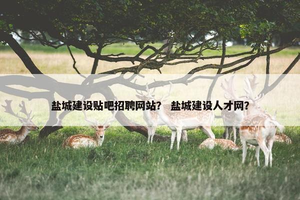 盐城建设贴吧招聘网站？ 盐城建设人才网？