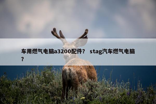 车用燃气电脑a3200配件？ stag汽车燃气电脑？