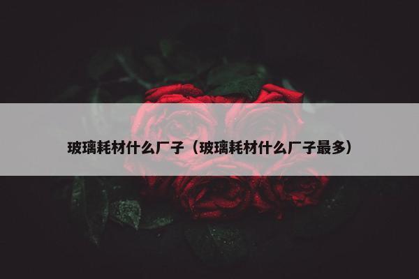 玻璃耗材什么厂子（玻璃耗材什么厂子最多）