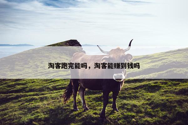 淘客跑完能吗，淘客能赚到钱吗
