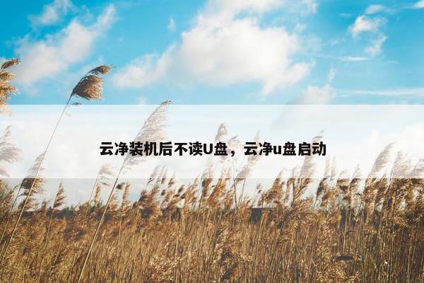 云净装机后不读U盘，云净u盘启动
