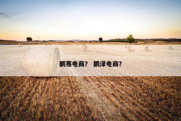 鹏骞电商？ 鹏泽电商？