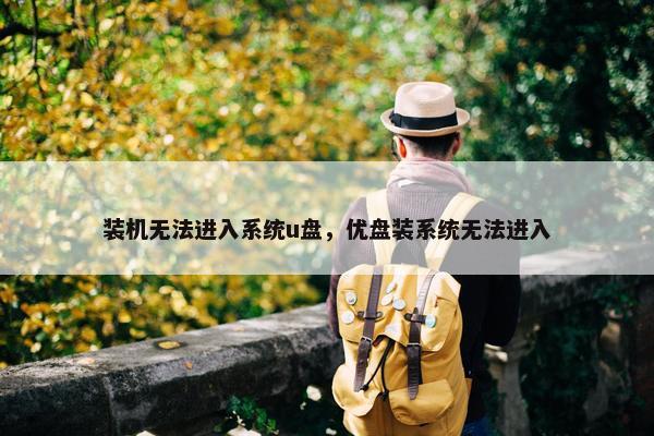 装机无法进入系统u盘，优盘装系统无法进入