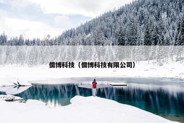 儒博科技（儒博科技有限公司）