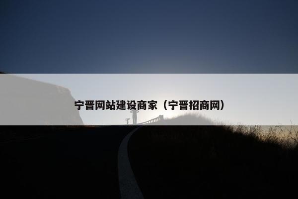宁晋网站建设商家（宁晋招商网）