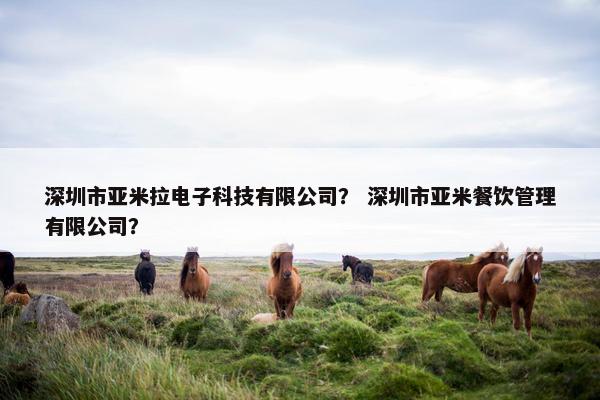 深圳市亚米拉电子科技有限公司？ 深圳市亚米餐饮管理有限公司？