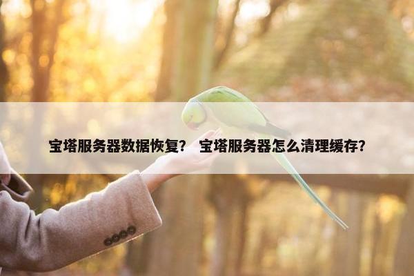 宝塔服务器数据恢复？ 宝塔服务器怎么清理缓存？