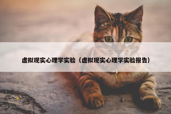 虚拟现实心理学实验（虚拟现实心理学实验报告）