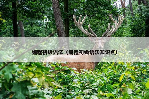 编程初级语法（编程初级语法知识点）