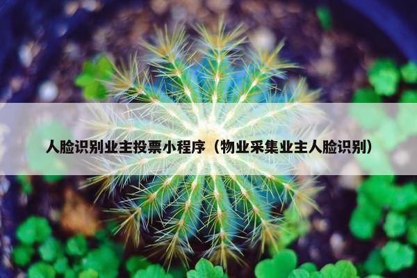 人脸识别业主投票小程序（物业采集业主人脸识别）