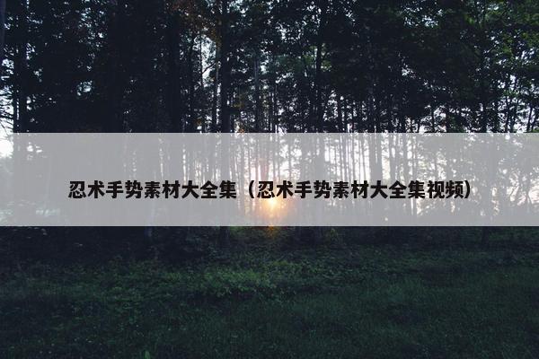 忍术手势素材大全集（忍术手势素材大全集视频）