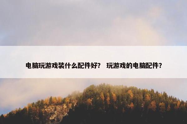 电脑玩游戏装什么配件好？ 玩游戏的电脑配件？