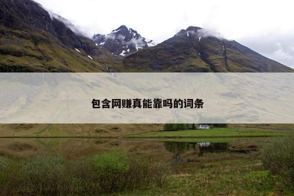 包含网赚真能靠吗的词条