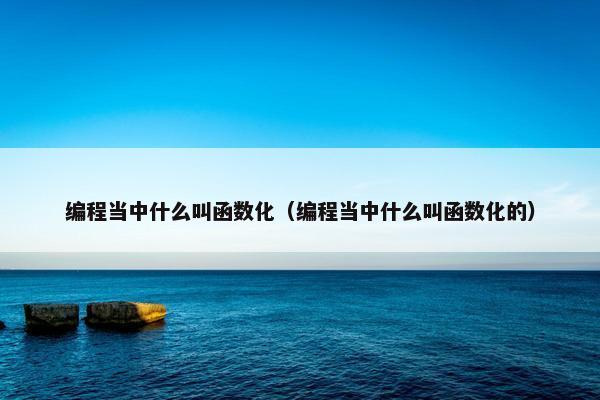 编程当中什么叫函数化（编程当中什么叫函数化的）