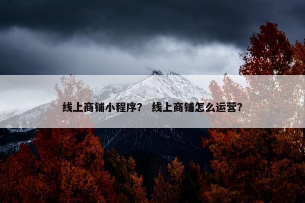 线上商铺小程序？ 线上商铺怎么运营？