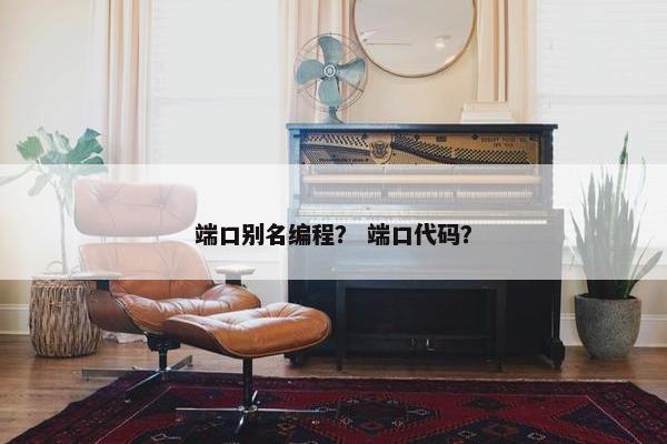 端口别名编程？ 端口代码？