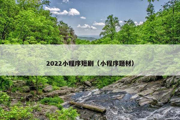 2022小程序短剧（小程序题材）