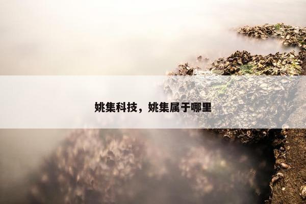 姚集科技，姚集属于哪里