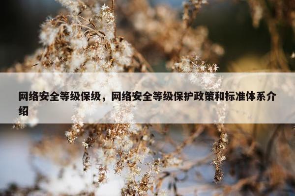 网络安全等级保级，网络安全等级保护政策和标准体系介绍