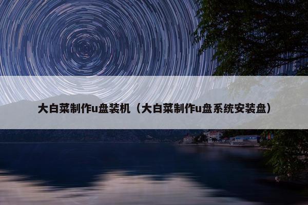 大白菜制作u盘装机（大白菜制作u盘系统安装盘）
