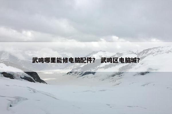 武鸣哪里能修电脑配件？ 武鸣区电脑城？