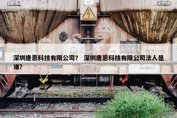 深圳唐恩科技有限公司？ 深圳唐恩科技有限公司法人是谁？