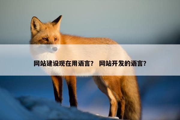 网站建设现在用语言？ 网站开发的语言？