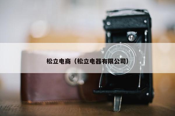 松立电商（松立电器有限公司）