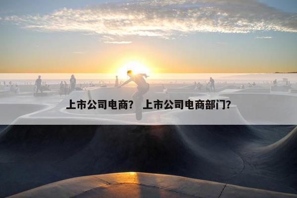 上市公司电商？ 上市公司电商部门？