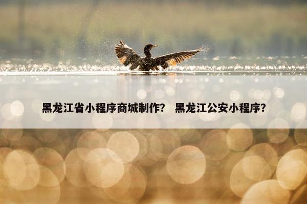 黑龙江省小程序商城制作？ 黑龙江公安小程序？